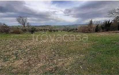 terreno agricolo in vendita a Falerone in zona Cerretino Varano