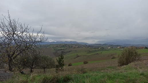 casa indipendente in vendita a Falerone in zona Cerretino Varano