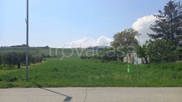 terreno agricolo in vendita a Fermo