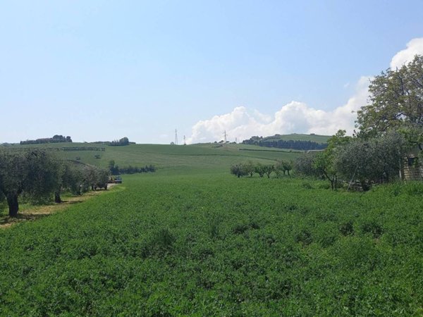 terreno agricolo in vendita a Fermo in zona San Tommaso