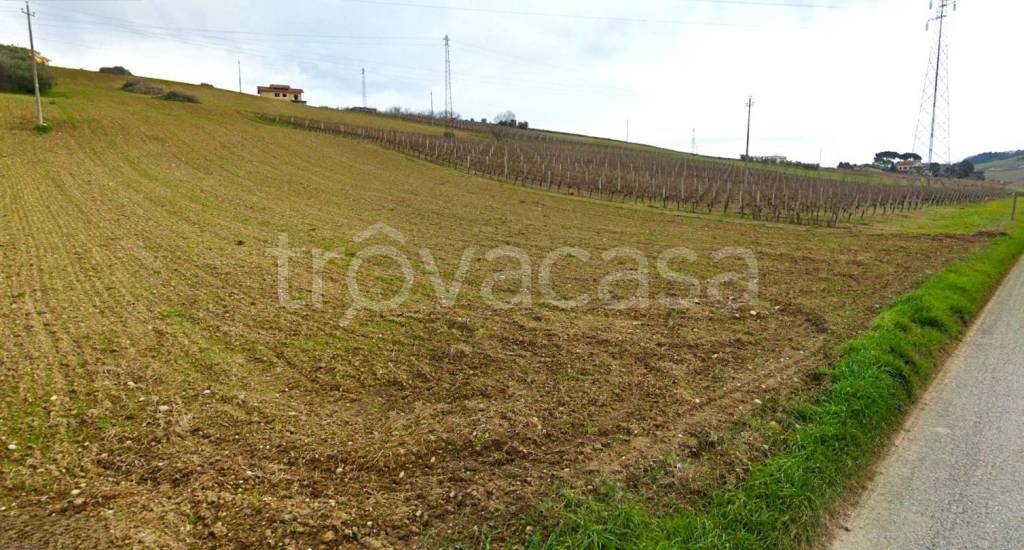 terreno agricolo in vendita a Fermo in zona Salvano