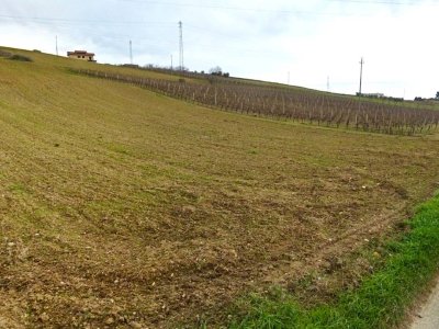 terreno agricolo in vendita a Fermo in zona Salvano