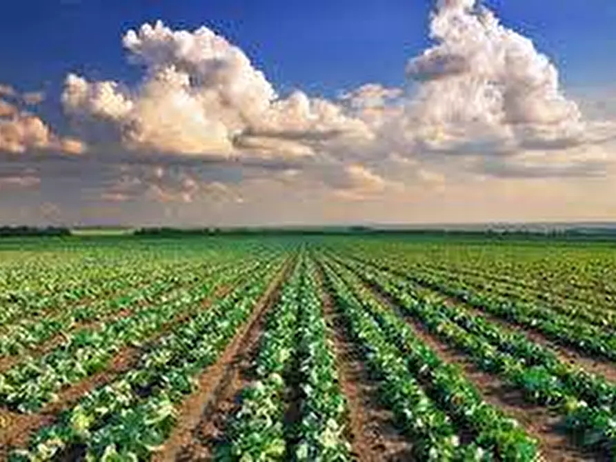 terreno agricolo in vendita a Fermo in zona San Marco
