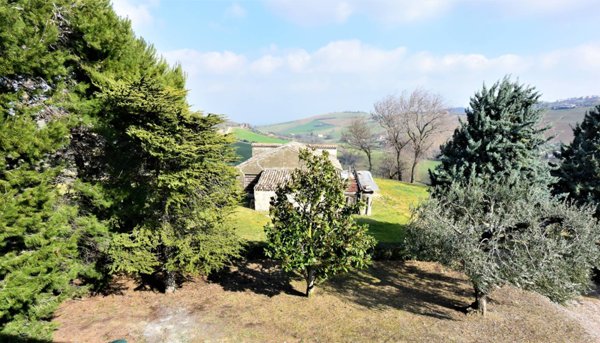 immagine annuncio 0 di 10