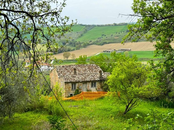 terreno agricolo in vendita a Fermo