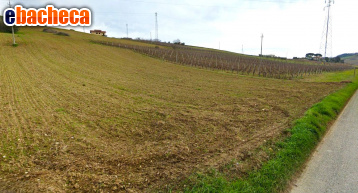 terreno agricolo in vendita a Fermo in zona Salvano