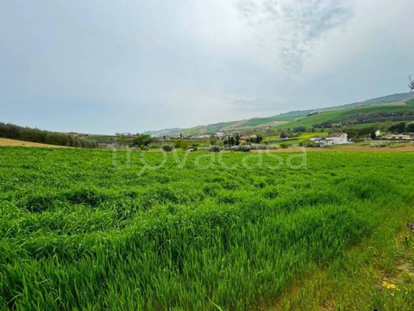 terreno agricolo in vendita a Fermo