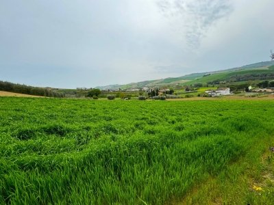 terreno agricolo in vendita a Fermo