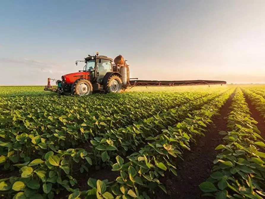 terreno agricolo in vendita a Fermo in zona Torre di Palme