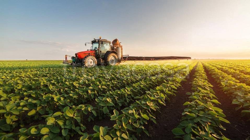 terreno agricolo in vendita a Fermo in zona Torre di Palme