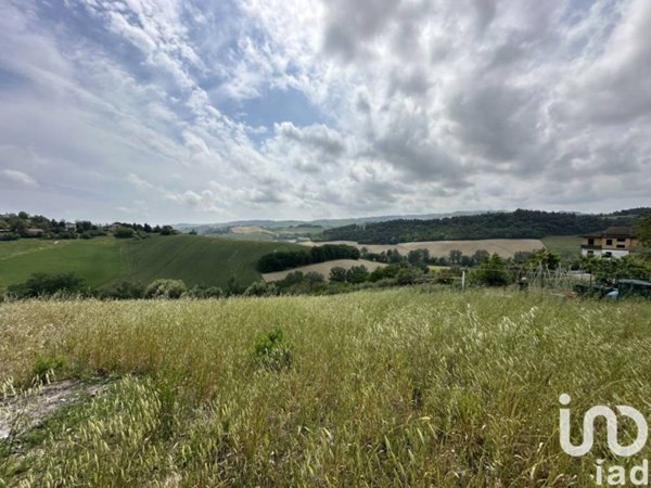 terreno agricolo in vendita a Fermo