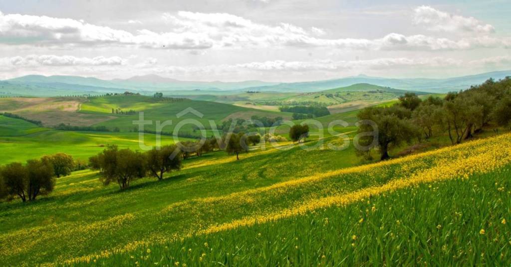 terreno agricolo in vendita a Fermo