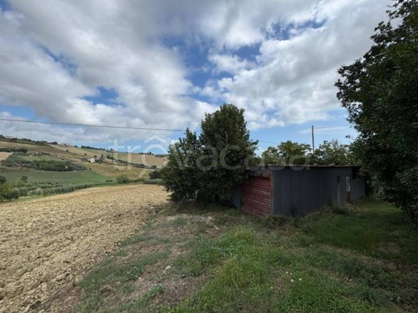 terreno agricolo in vendita a Fermo