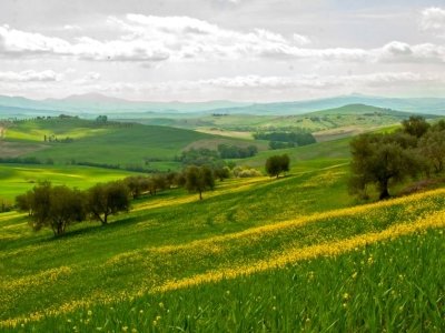 terreno agricolo in vendita a Fermo