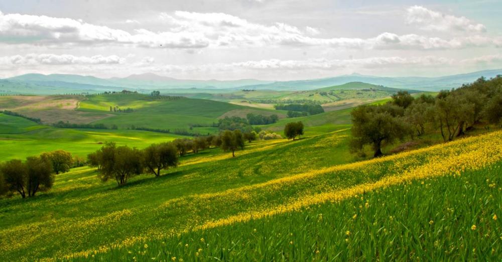 terreno agricolo in vendita a Fermo