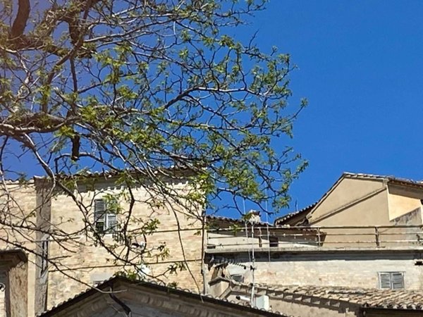 casa indipendente in vendita a Fermo