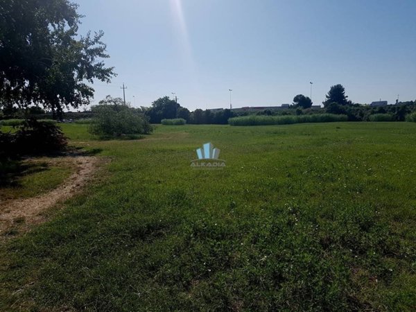 terreno agricolo in vendita a Fermo