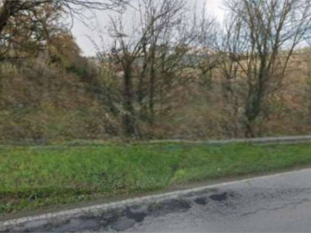 terreno agricolo in vendita a Fermo