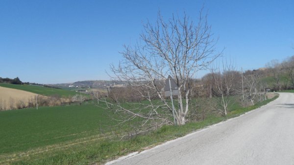 casa indipendente in vendita a Fermo