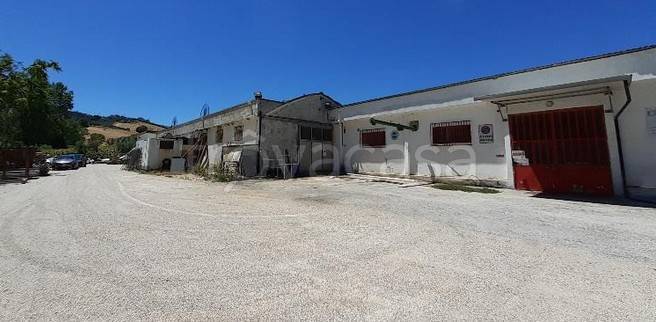 negozio in vendita a Fermo