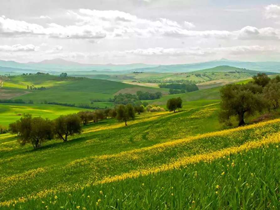 terreno agricolo in vendita a Fermo