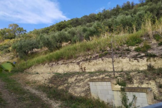 terreno agricolo in vendita a Fermo in zona San Girolamo