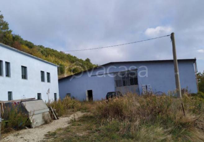 terreno agricolo in vendita a Fermo in zona San Girolamo