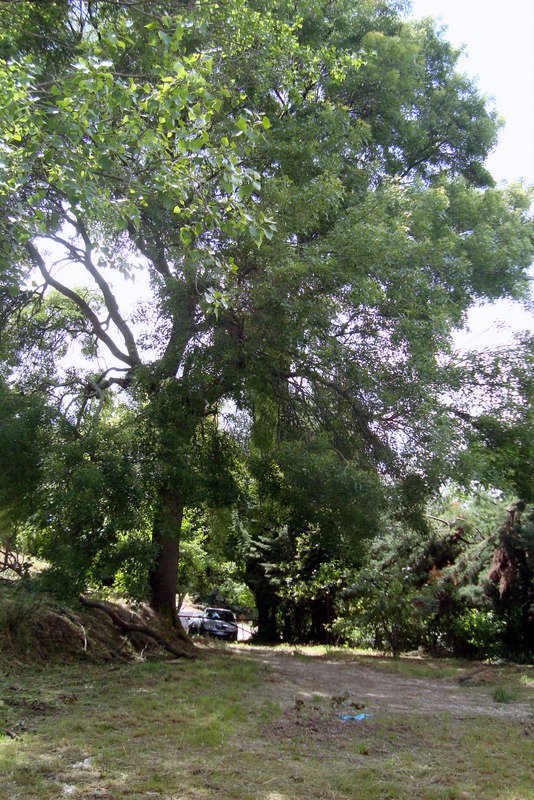 casa indipendente in vendita a Fermo