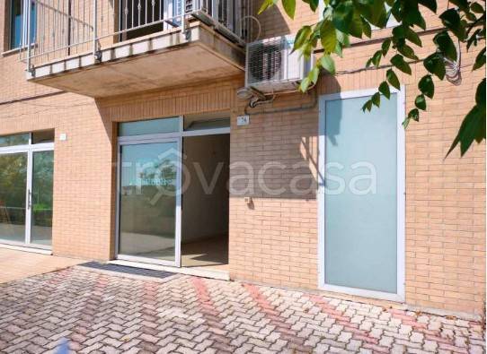 appartamento in vendita a Fermo