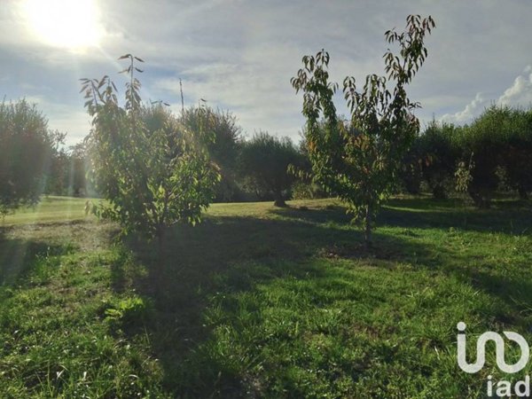 terreno agricolo in vendita a Fermo in zona San Marco