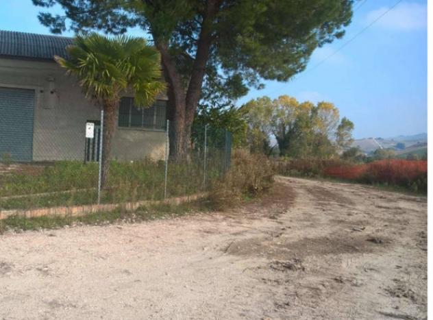 terreno agricolo in vendita a Fermo