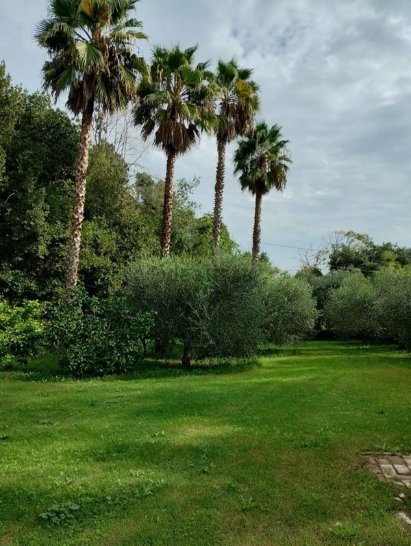 esavano in vendita a Fermo in zona Torre di Palme