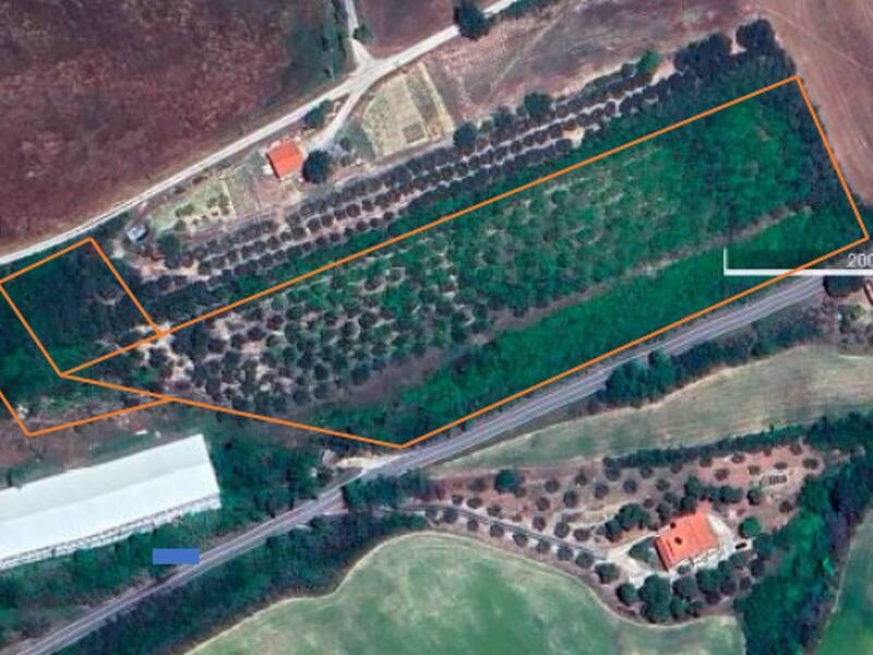 terreno agricolo in vendita a Fermo in zona San Girolamo