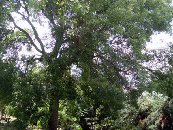 casa indipendente in vendita a Fermo