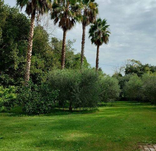 casa indipendente in vendita a Fermo in zona Torre di Palme