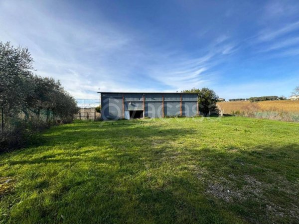 terreno agricolo in vendita a Fermo in zona Camera