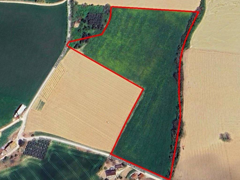 terreno agricolo in vendita a Fermo
