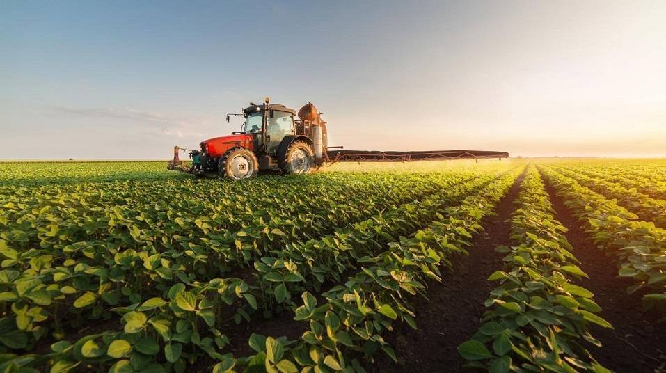 terreno agricolo in vendita a Fermo in zona Torre di Palme