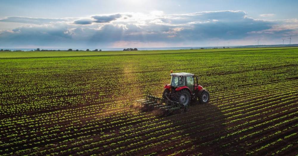 terreno agricolo in vendita a Fermo in zona San Marco