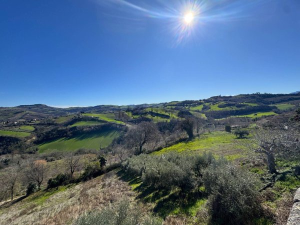 pentavano in vendita a Fermo