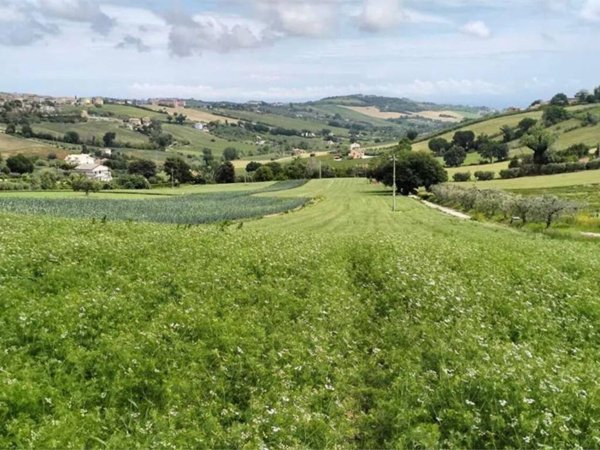 terreno agricolo in vendita a Fermo
