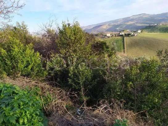 appartamento in vendita a Fermo in zona San Girolamo