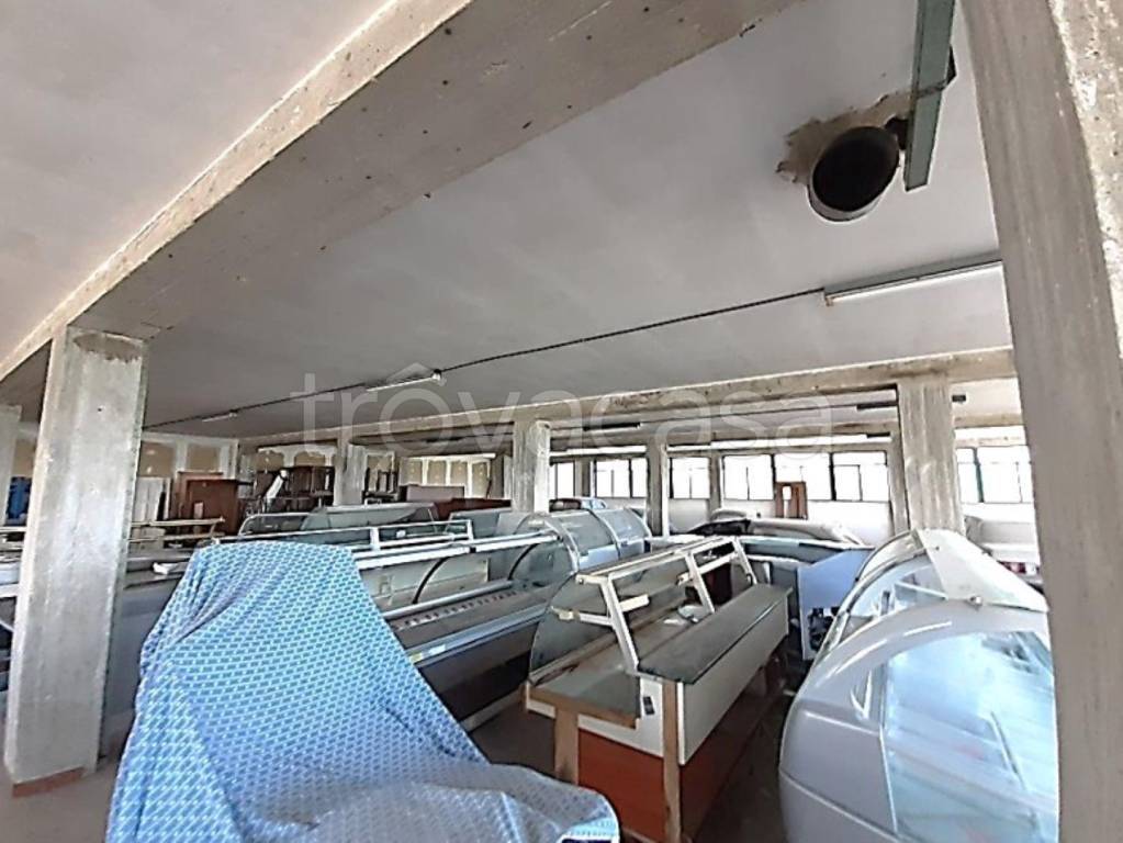 terreno edificabile in vendita a Fermo in zona Santa Petronilla