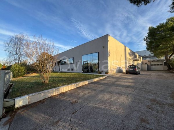 negozio in vendita a Fermo