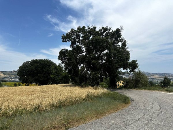 casa indipendente in vendita a Fermo