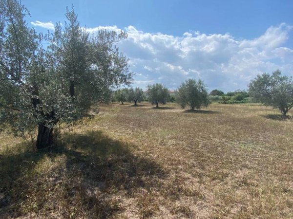 casa indipendente in vendita a Fermo