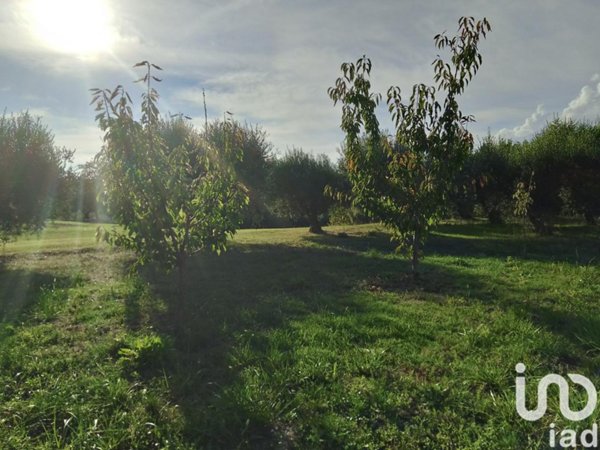 terreno agricolo in vendita a Fermo in zona San Marco