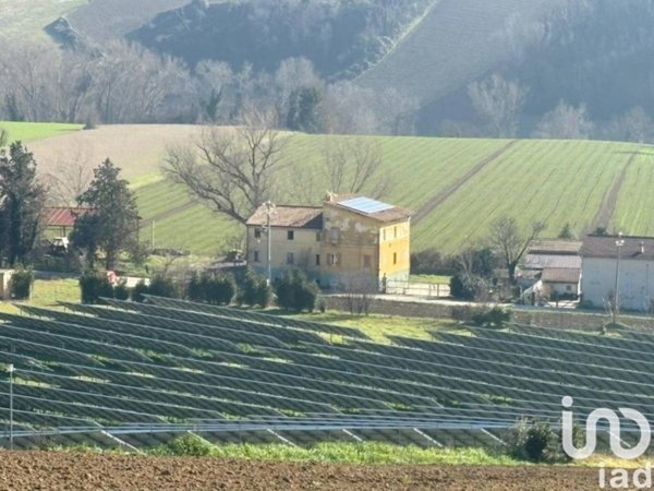 esavano in vendita a Francavilla d'Ete
