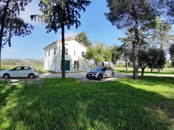 casa indipendente in vendita a Grottazzolina
