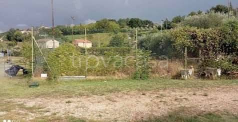 terreno agricolo in vendita a Grottazzolina